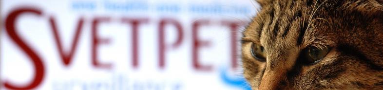 logo svetpet