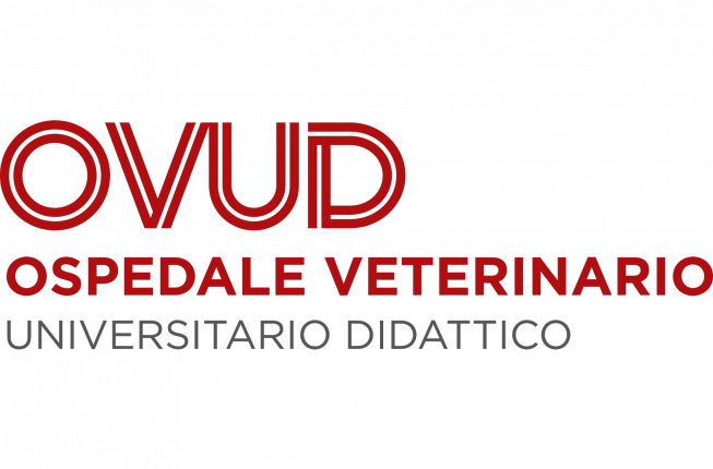 Collegamento a VTH, The Veterinary Teaching Hospital