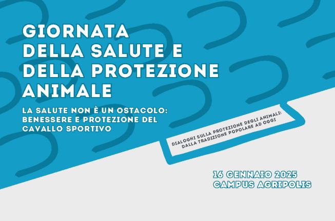 Collegamento a La Giornata della Salute e della Protezione Animale nel 2026 parlerà del cavallo atleta