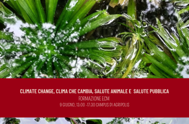 Collegamento a Climate change, clima che cambia, salute animale e salute pubblica