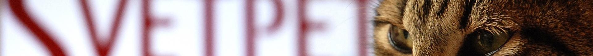 logo svetpet